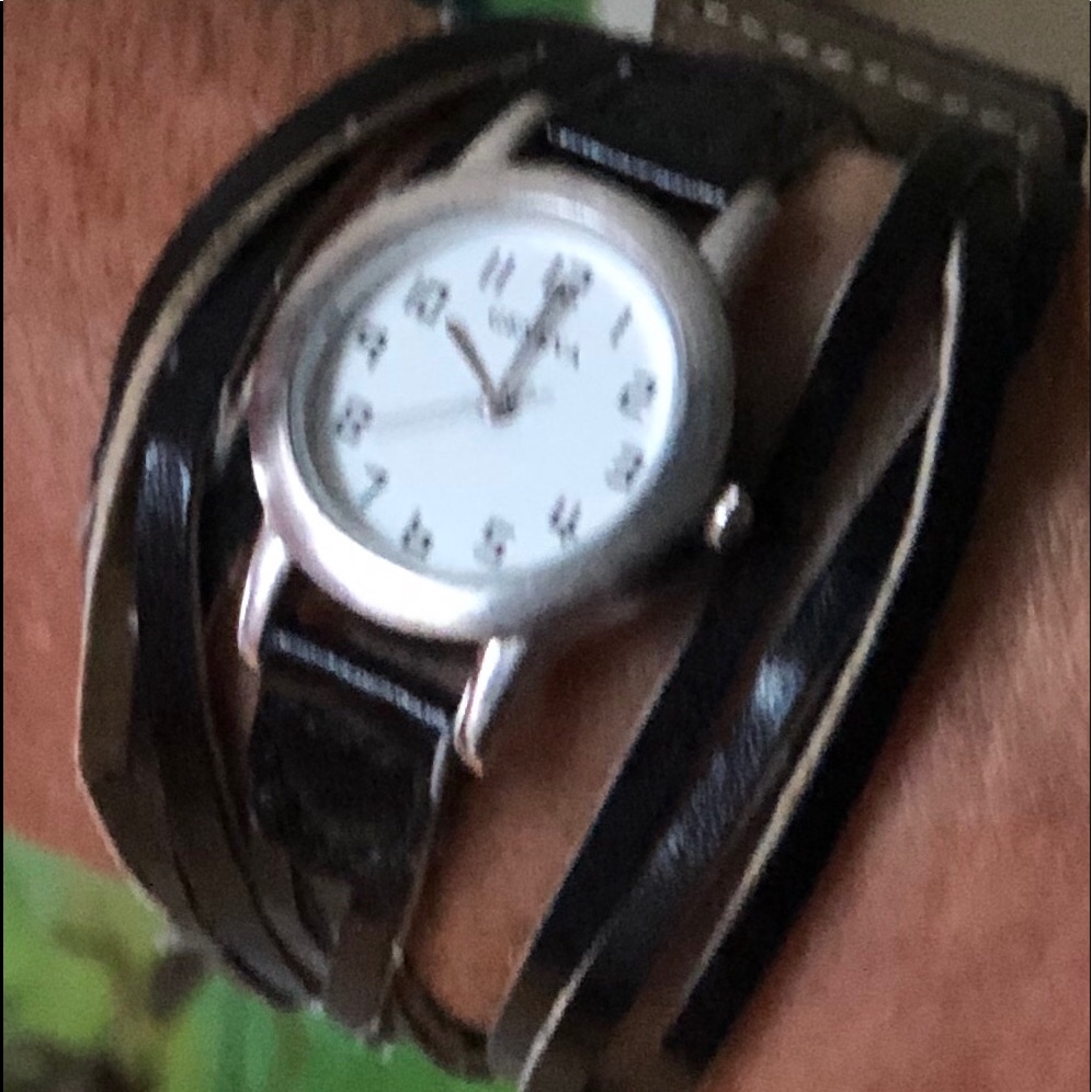 Geneva Watch